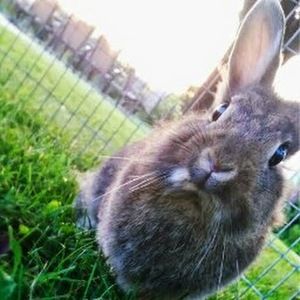 Meet your Posher, Lydia